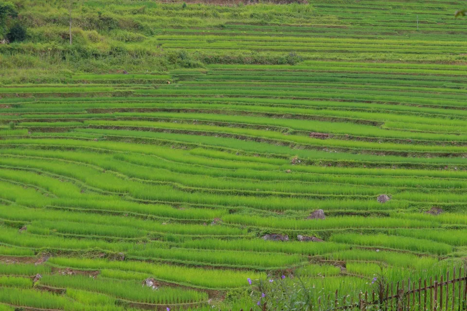 Kho gạo khô ráo